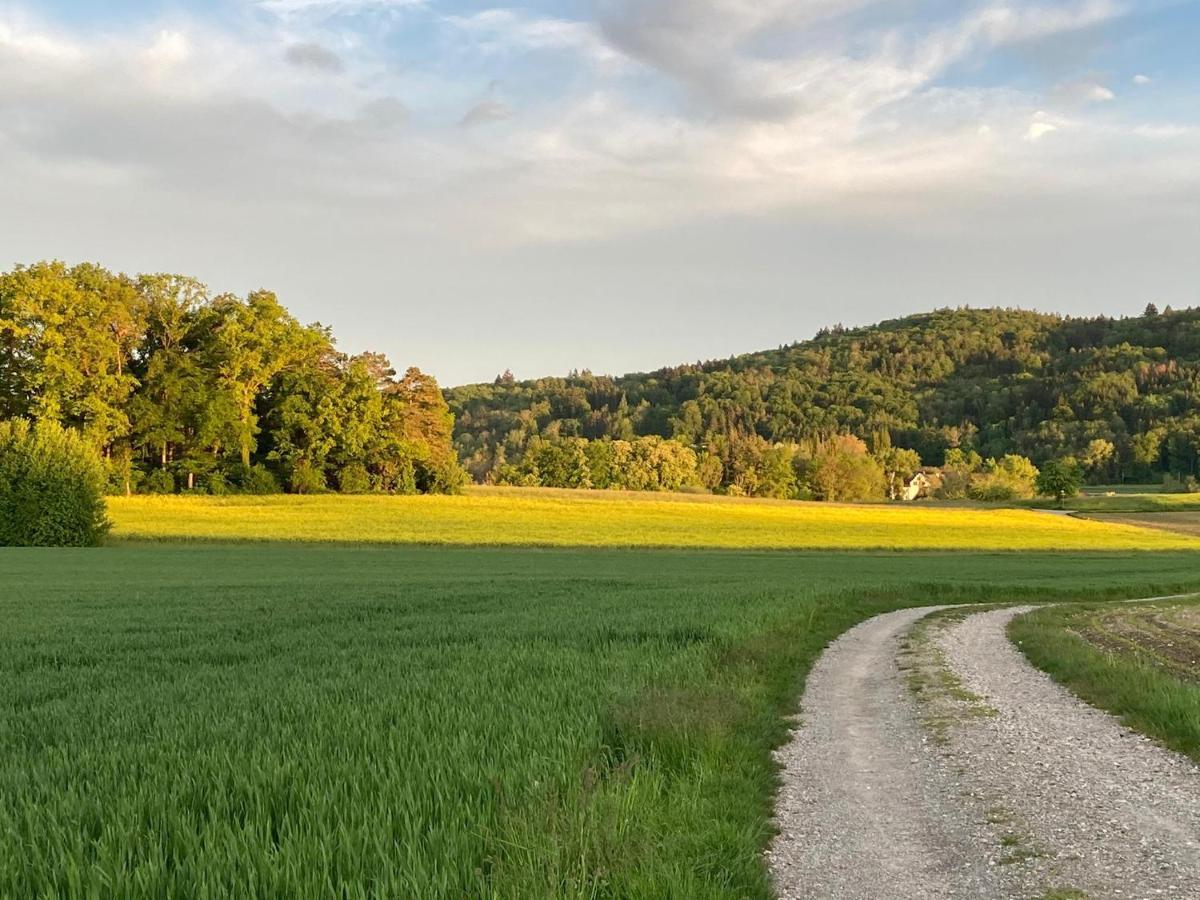 Buesingen Am Hochrhein Radfahren, Wandern, Natur Geniessen Apartment ภายนอก รูปภาพ