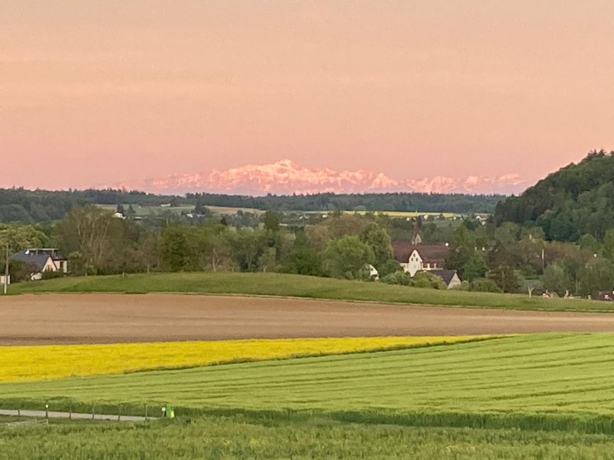 Buesingen Am Hochrhein Radfahren, Wandern, Natur Geniessen Apartment ภายนอก รูปภาพ