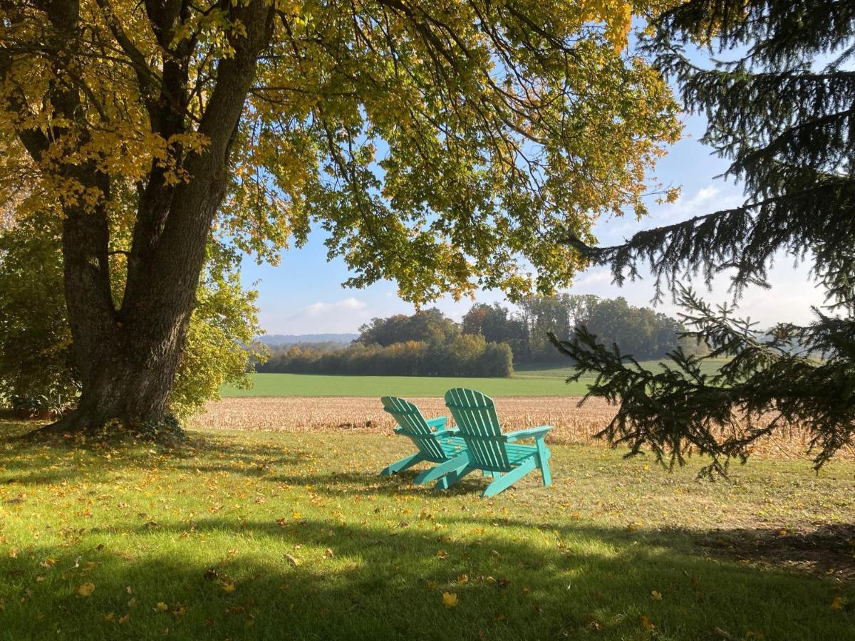 Buesingen Am Hochrhein Radfahren, Wandern, Natur Geniessen Apartment ภายนอก รูปภาพ